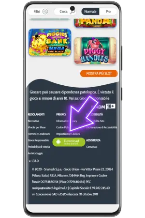 Scaricare Bigcasino per accedere ai giochi