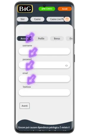 Inserisci email username password per registrazione Big Casino
