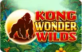 Kong Wonder Wilds