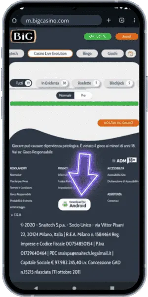  Big Casino Scarica l’APK di BIG Casino